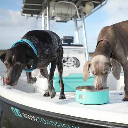 Non-Tipping Dog Bowl 2-pack - Toadfish - Smartgrip Tumblers