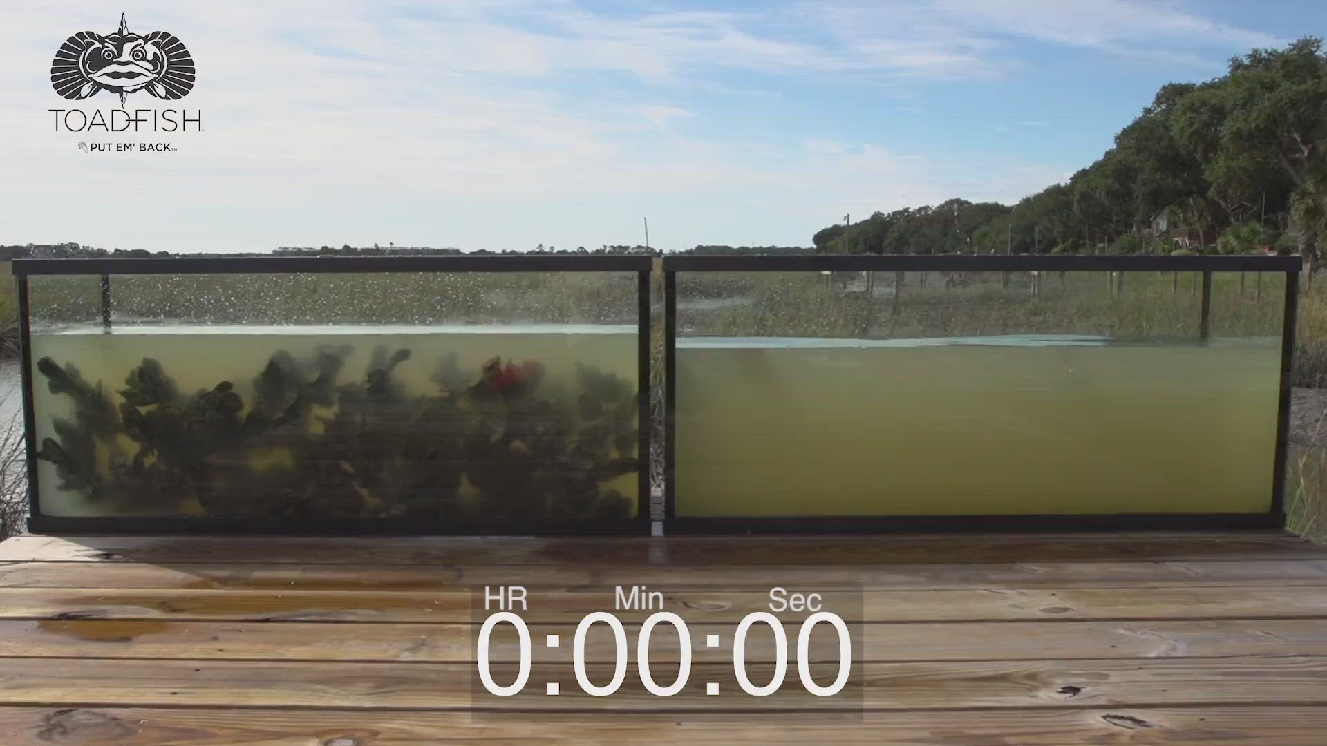 Load video: Toadfish is committed to cleaning coastal waters