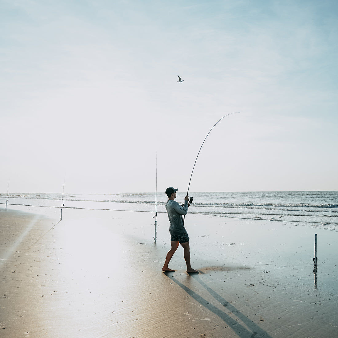 Stowaway Surf Spike - Toadfish - Fishing Rods