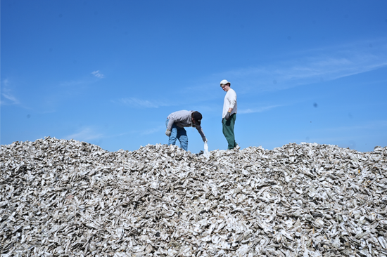 A group of people are at a beach clean-up