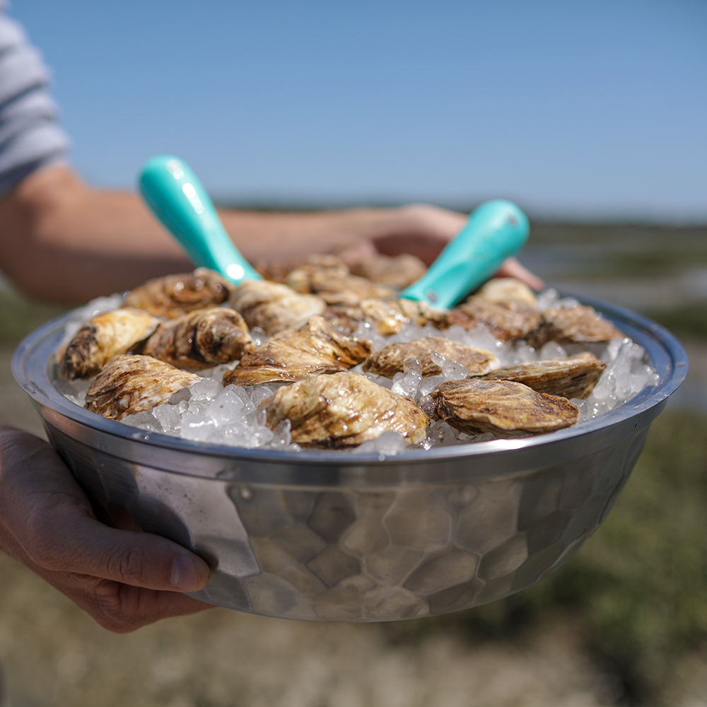 Seafood Bowl - Toadfish - Kitchen Tools & Utensils