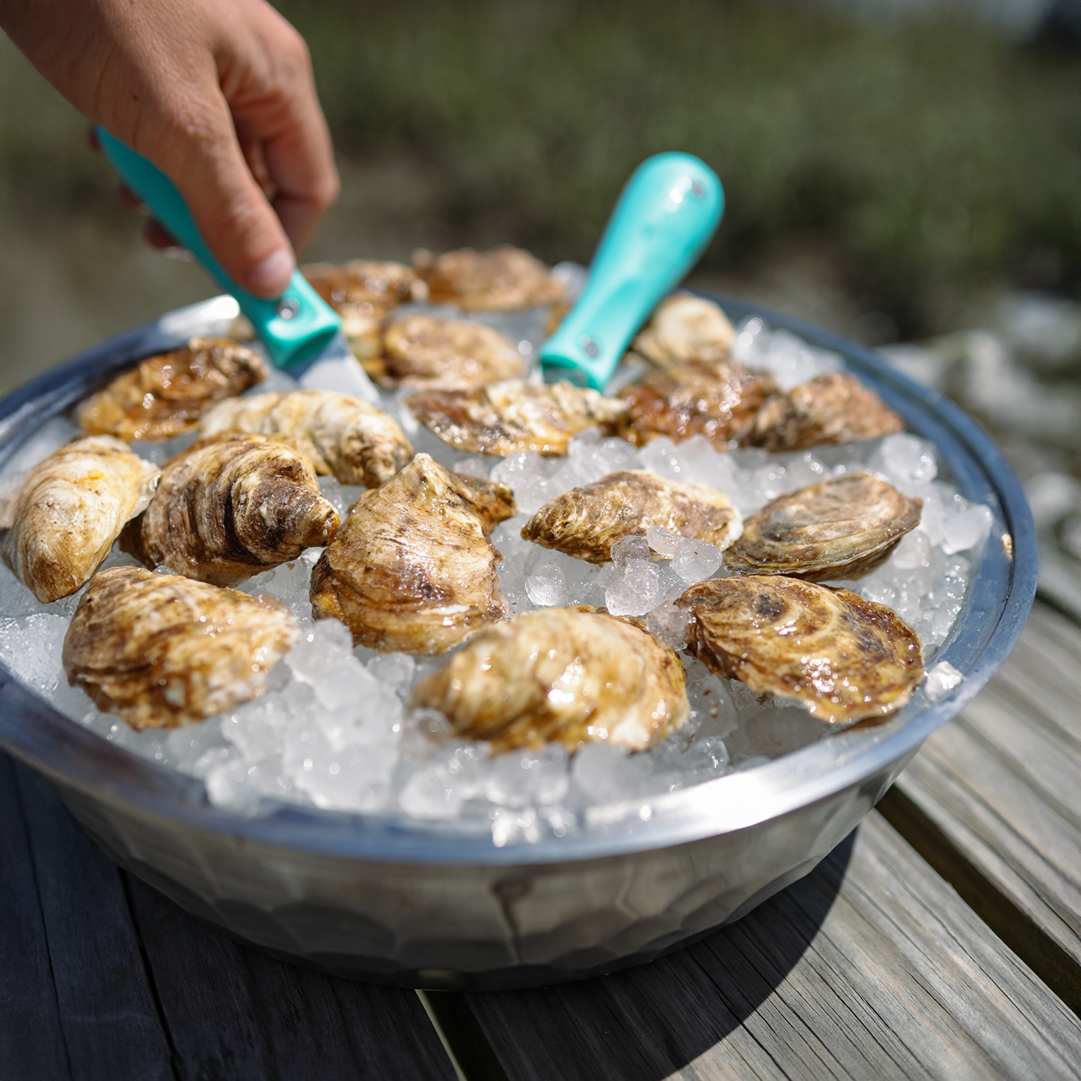 Seafood Bowl - Toadfish - Kitchen Tools & Utensils