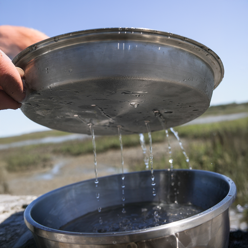 Seafood Bowl - Toadfish - Kitchen Tools & Utensils